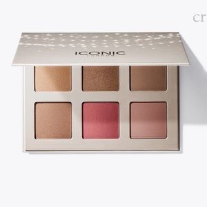 BLAZE CHASER FACE PALETTE